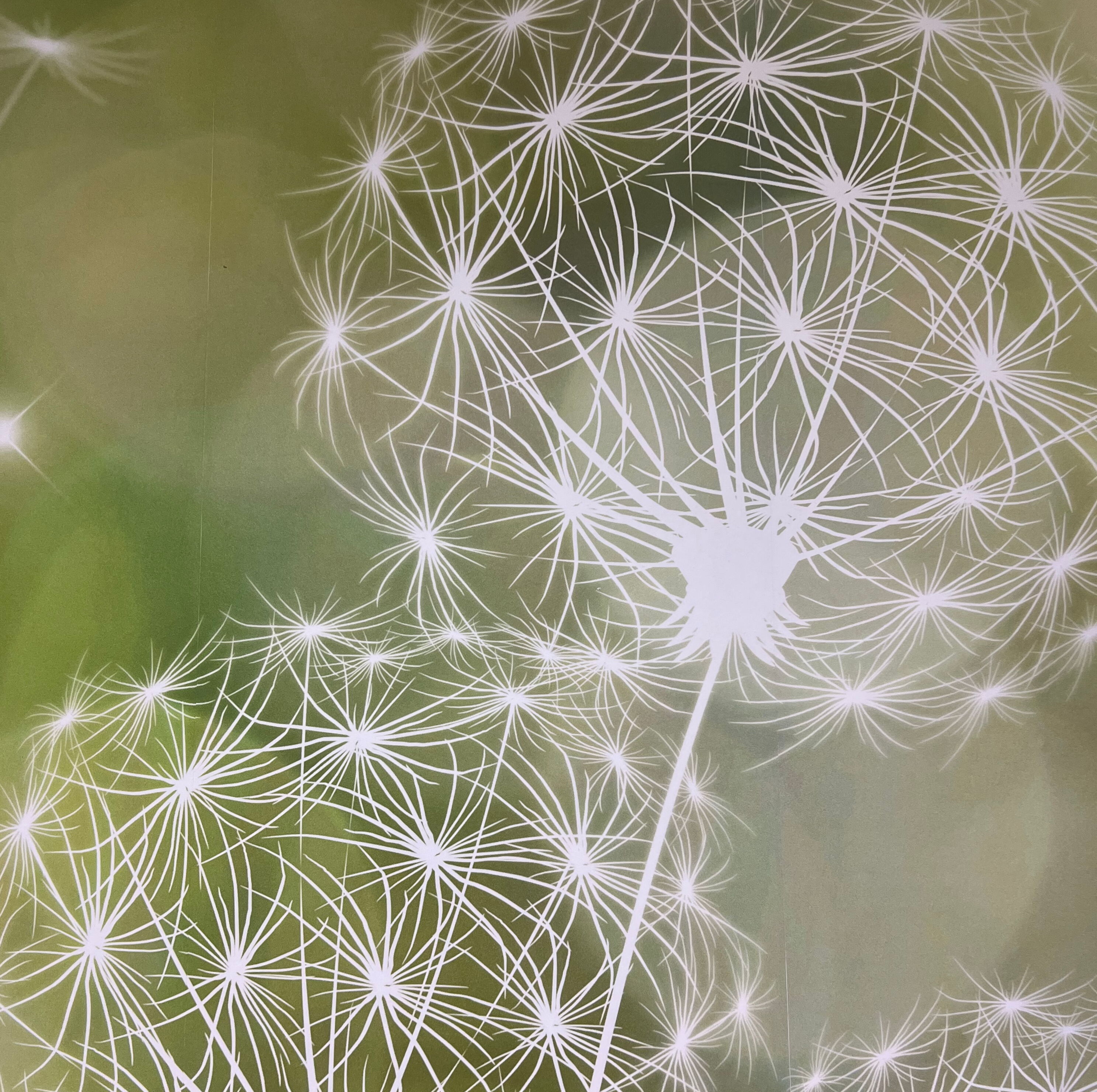 Zahnarzt in Bautzen | Zahnarztpraxis Beer